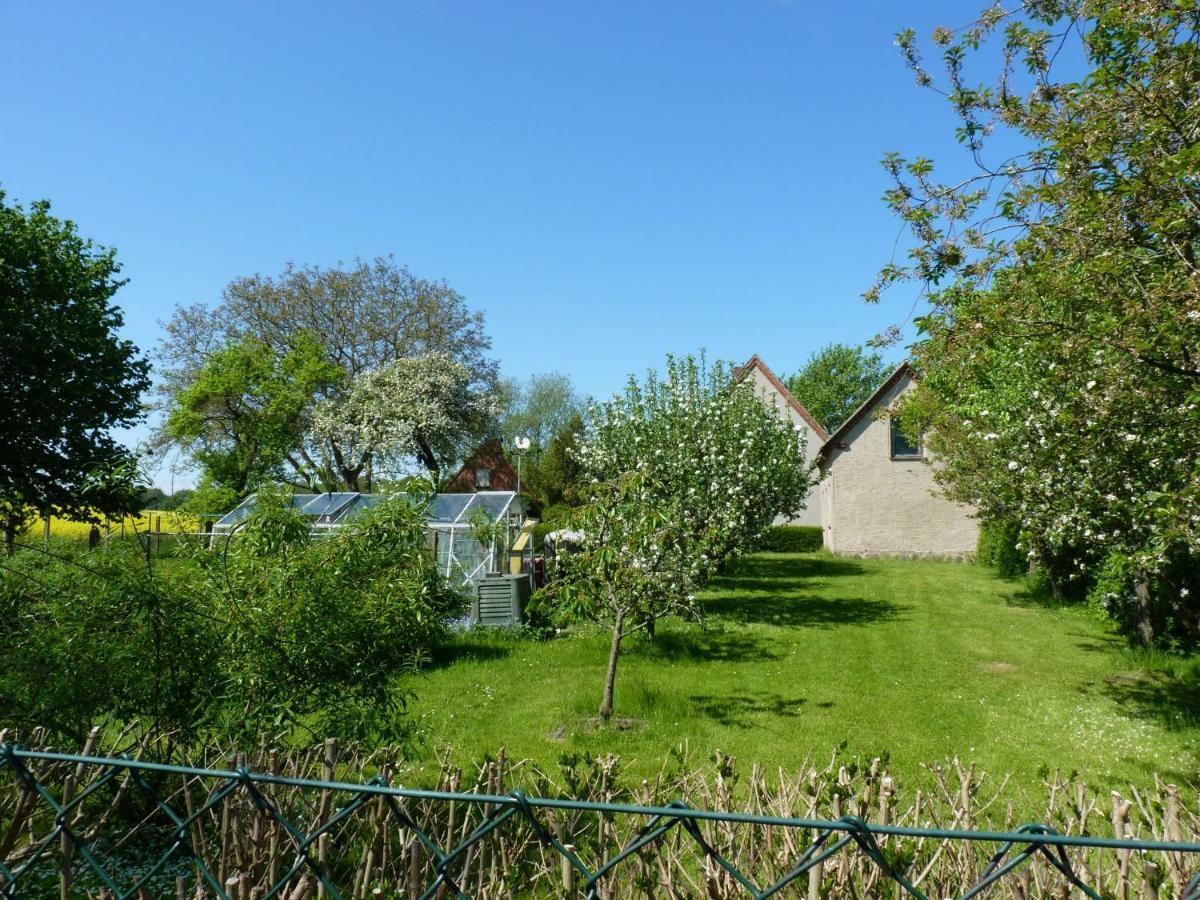 Baltic Chalet 3 Warnkenhagen  المظهر الخارجي الصورة